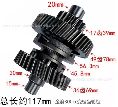 Other starting systems: Model Built-In Reverse Gear - jinlang-300-gear-shifting-teeth