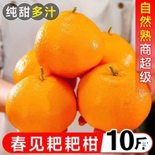 �Ĵ���Ҋ�ҰҸ��ؼ����θ�10�������Ӯ������rˮ����̽�������]