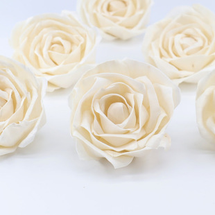 �F؛���l|8cmõ��ͨ�ݻ� ���˹�õ����滨�Ҿ��b��øɻ�