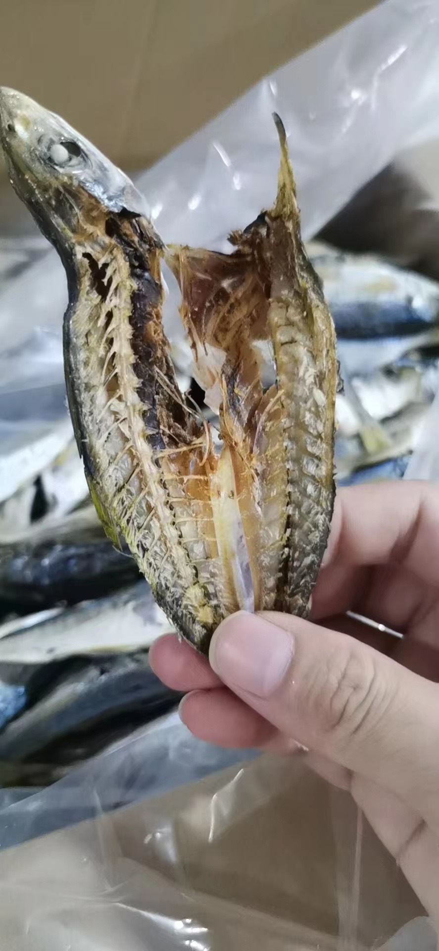 b0b9de3f86080e3d16c8854d34e6bc