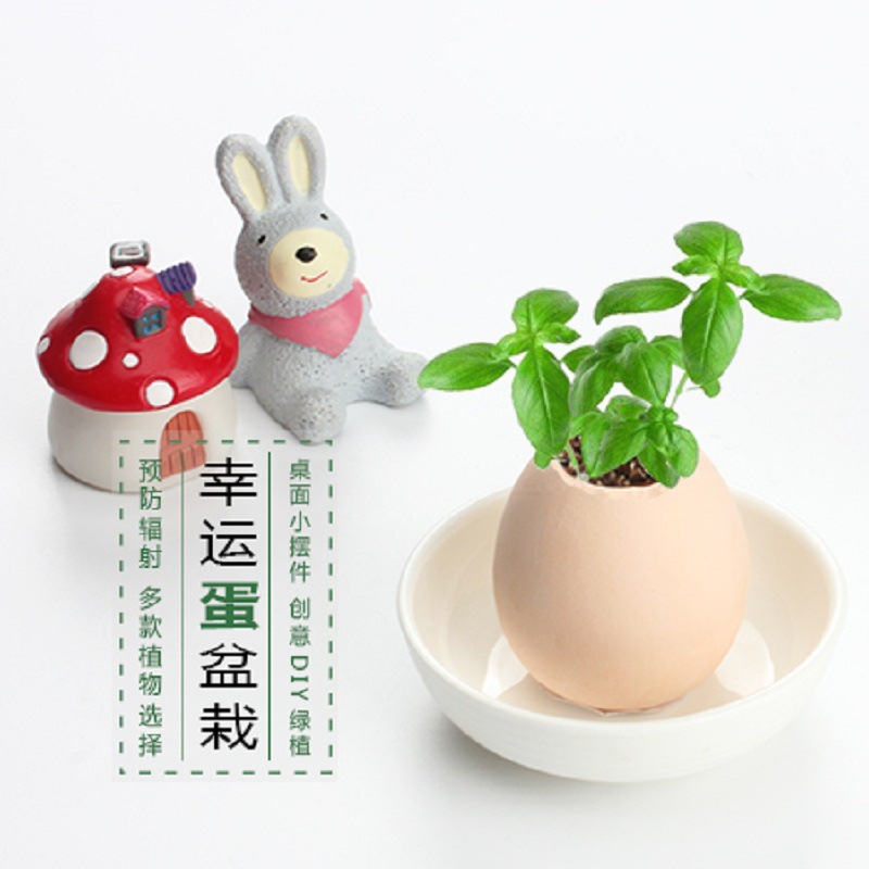 ֲdiy 澰 칫ħħմֲ