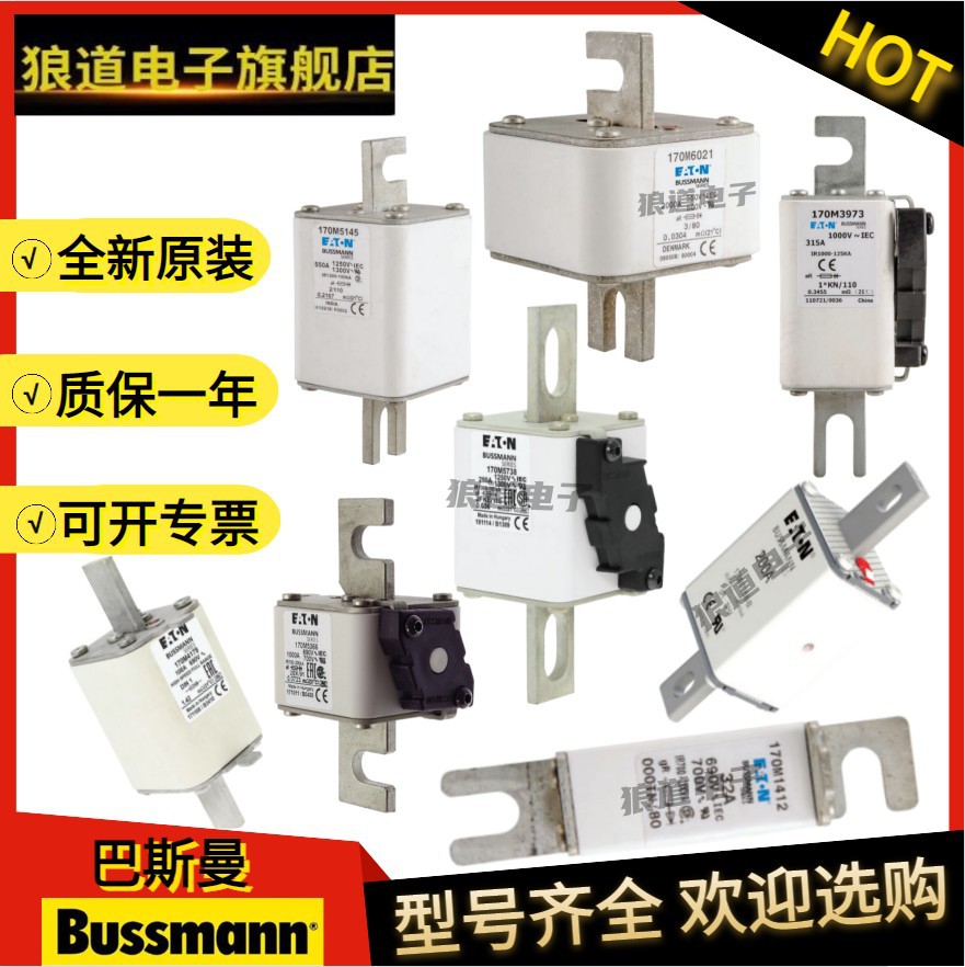 巴斯曼全系熔断器170M5438 170M5439 170M5440 170M5441原装正品