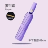 [24 Double Keel Automatic] Recommended Model-Light Purple