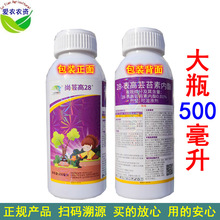 500ml 28-����̦ܿ�؃�̨֬ܿ�؃���ֲ�����L�{�����̦���̨��