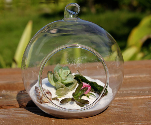 Simple hanging micro landscape ecological bottle succulent glass vase crystal transparent round manufacturer wholesale
