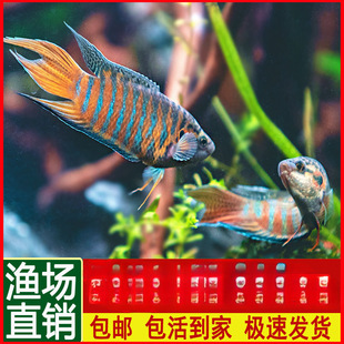 �Ї����~���~��ˮ��ˮ�^�p�~���B�ͻ���~С�����_�~���^�p�~