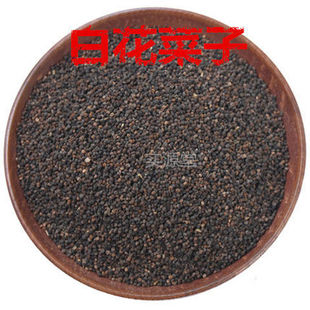 ��ș�İ׻����� Ұ���׻����Ѿ��x�ٻ�����