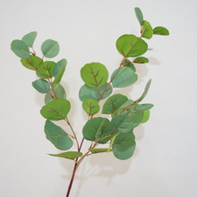 ���W�L�����ָ��ȼ������|�Ҿ��b�c���ľGֲ�[�����X�~��ֲ��