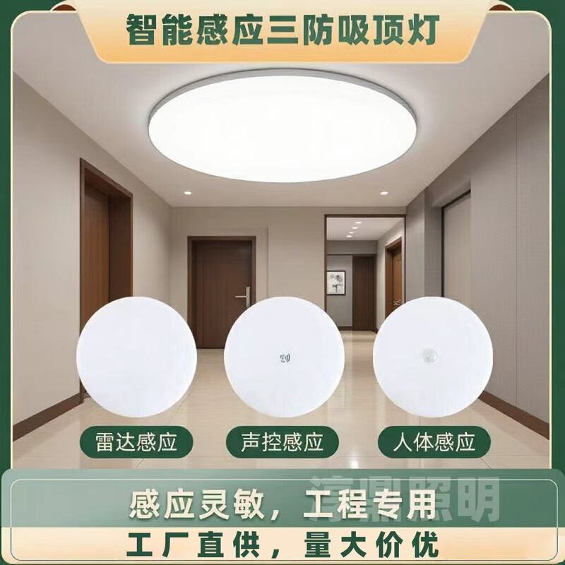 Human Body Sensor Ceiling Light Led Three-Proof Ceiling Light Balcony Staircase Corridor Radar Smart Round Voice-Controlled Light