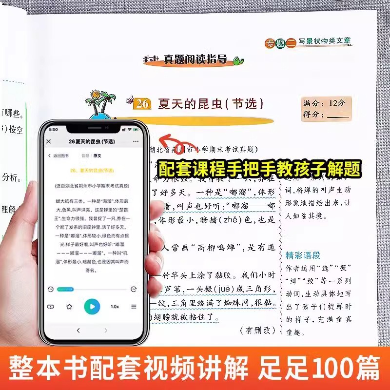 小学校の読書理解専門訓練書一二三四五六年級読書訓練問題100編練習|undefined