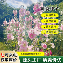 ذNļ_⻨׻ܷN̨ͥԺN