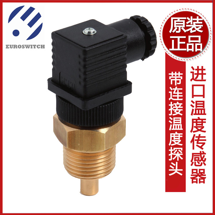 意大利 EUROSWITCH 带连接温度探头 580E