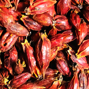 ��؛�d��500g��؛ɫ�ؼt�d�ӻ����S�d�Ӳ�ɽ֦�ӹ�ɽ�d����Ʒ