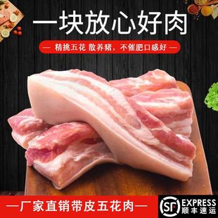 ��Ƥ�廨�����r�F���i���廨�����������������l