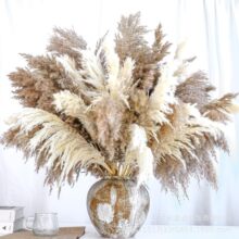 �羳����˹�����JȔ�ɻ������Ҿ��b[�����յ��߸ɻ�����������