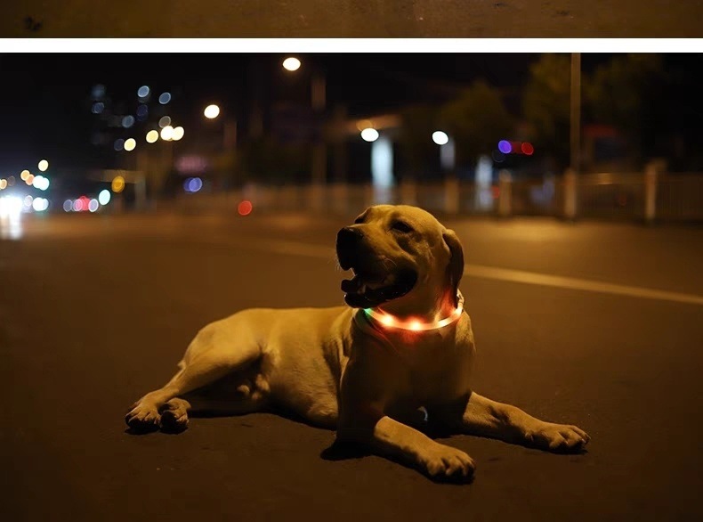 c7e49ff8-bbe7-4faf-bccb-5dc0fcdbda4d.jpe