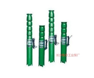 �C��һ�w ˮ�ú�늙Cֱ 300QJ140-84