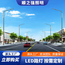 厂家供应户外照明路灯杆 电路灯 马路市电路灯高低双臂led路灯