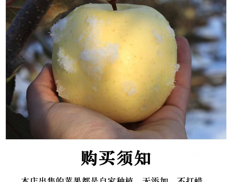 8b169ac42b741e310c89871fb5e11d