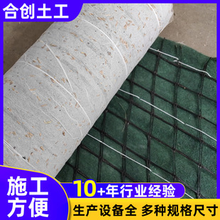 Ҭ�z̺�o�����B������ֲ���w�Sֲ̺��ֲ��̺���_����̺�ӽ�ֲ���W