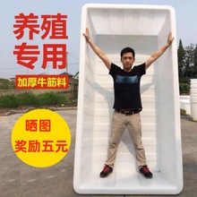 ���Bֳ��ˮͰ�Ӻ��L���δ�̖��Ͱˮ�aţ������ˮ���B�~���B���z��