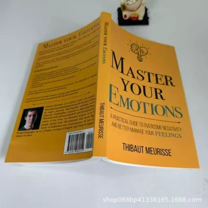 Контроль над эмоциями: практическое руководство на английском варианте Master Your Emotions