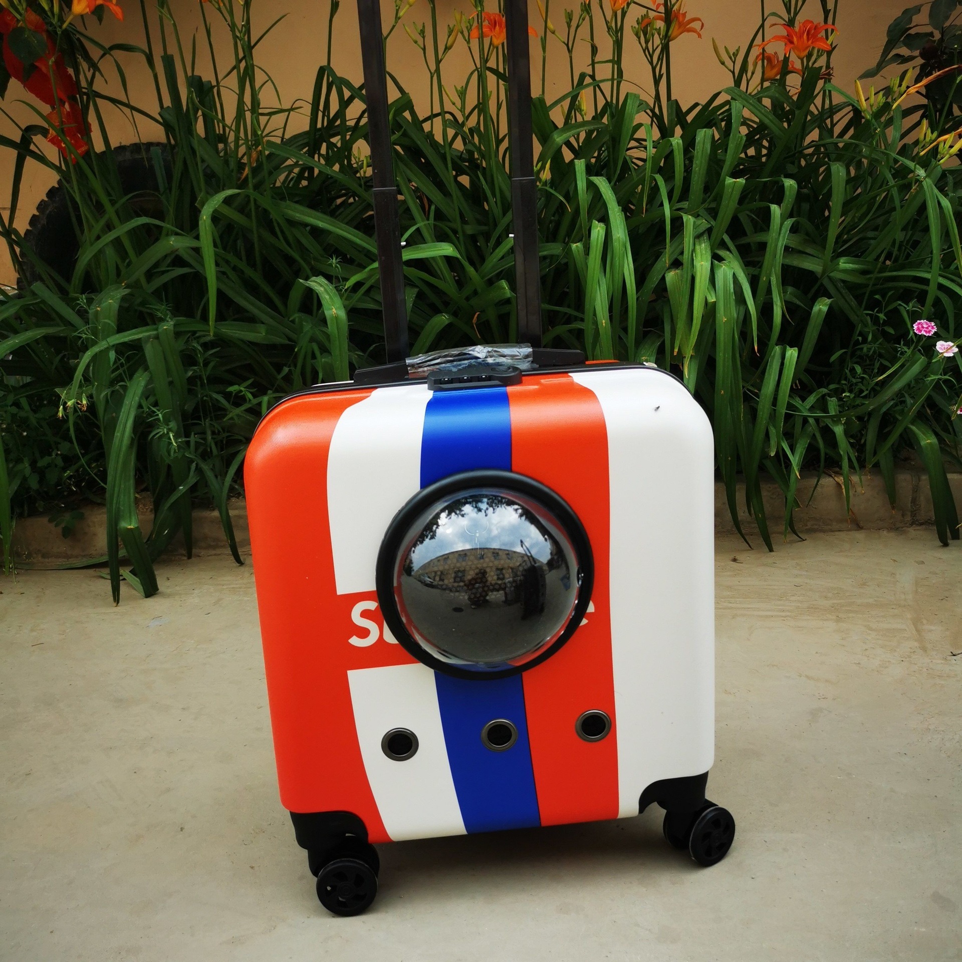 Box Space Capsule Pet Universal Wheel Dog Carrier Cat Outdoor Rolling Su Hong_voghion.com
