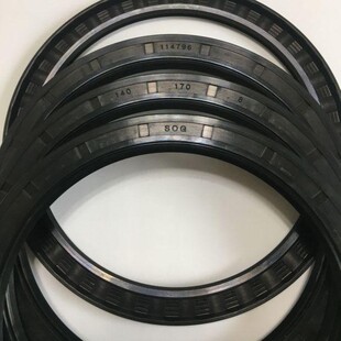 Caisheng Sog&Ht Inner Skeleton Double Lip Fb Oil Seal 114796   Tc140*170*8 Nbr