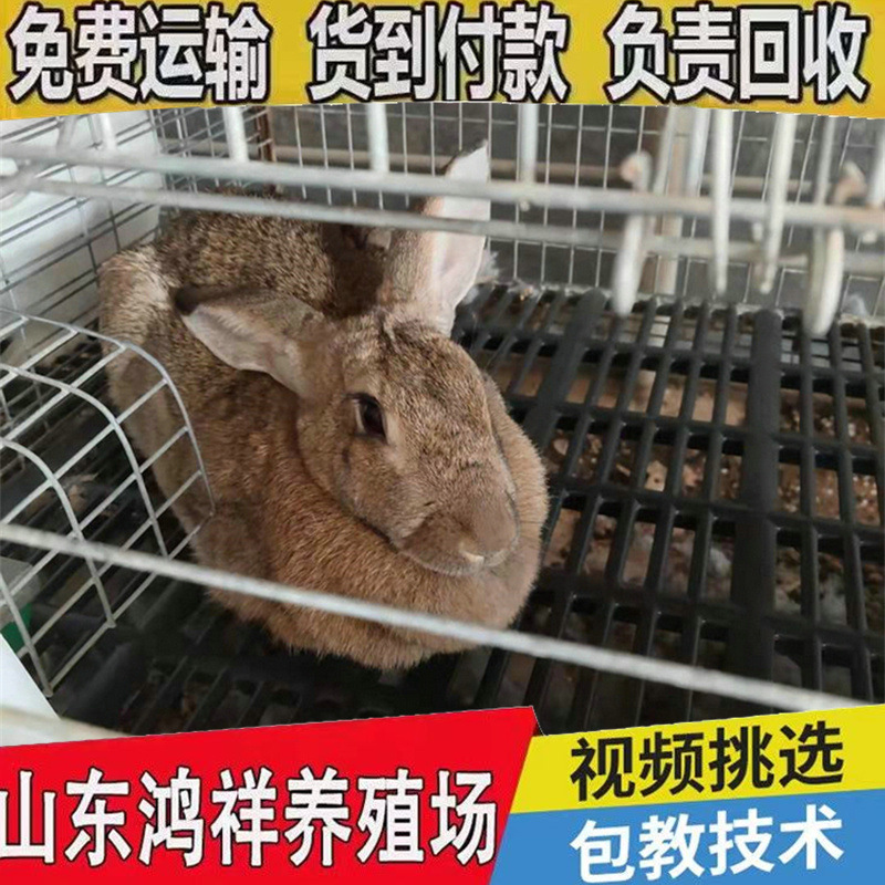 b_1260965202101152154577548 (1