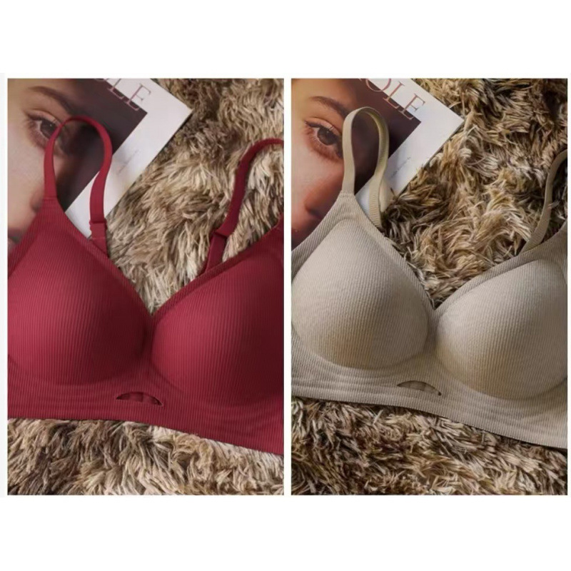 앙콜라 레드 + 코코넛 야자