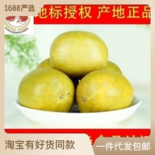 廣西桂林低溫脫水羅漢果大果真空黃金果新貨產地發貨廠家批發新果