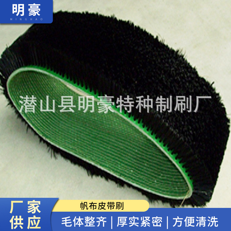 供应 皮带毛刷 帆布皮带刷 钢丝皮带刷 橡胶皮带刷磨革机皮带刷