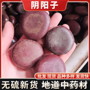 ș�����l�����^������ľ���Ӿ���/�}���� ����