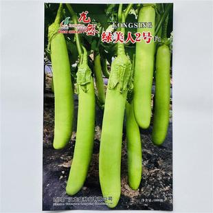 Green Beauty No. 2 Eggplant Seed Flesh, Light Green, Thin Green Calyx, Green Long Eggplant Seeds, High Yield and Disease Resistance Eggplant