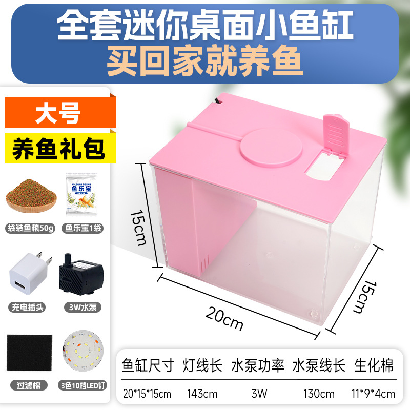 Acuario Ecológico de Escritorio con Filtro Externo e Iluminación para Sala de Estar image 13