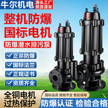 ����HWQB���ڷ�����ˮ��EXDIIBT4/CT4�����ͼ�ˮ�������g����ˮ��