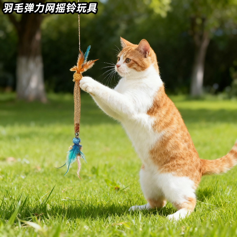 猫咪玩具弹力网逗猫棒宠物玩具羽毛铃铛发声自嗨解闷耐咬猫玩具|undefined