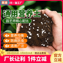 营养土养花通用专用泥土多肉花土种菜种花绿植有机花肥料盆栽土壤