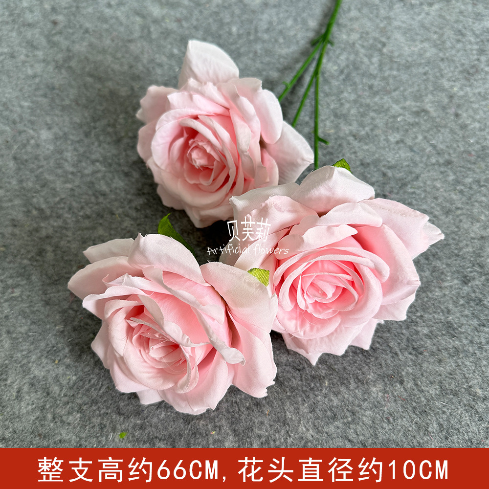 다이아몬드 로즈