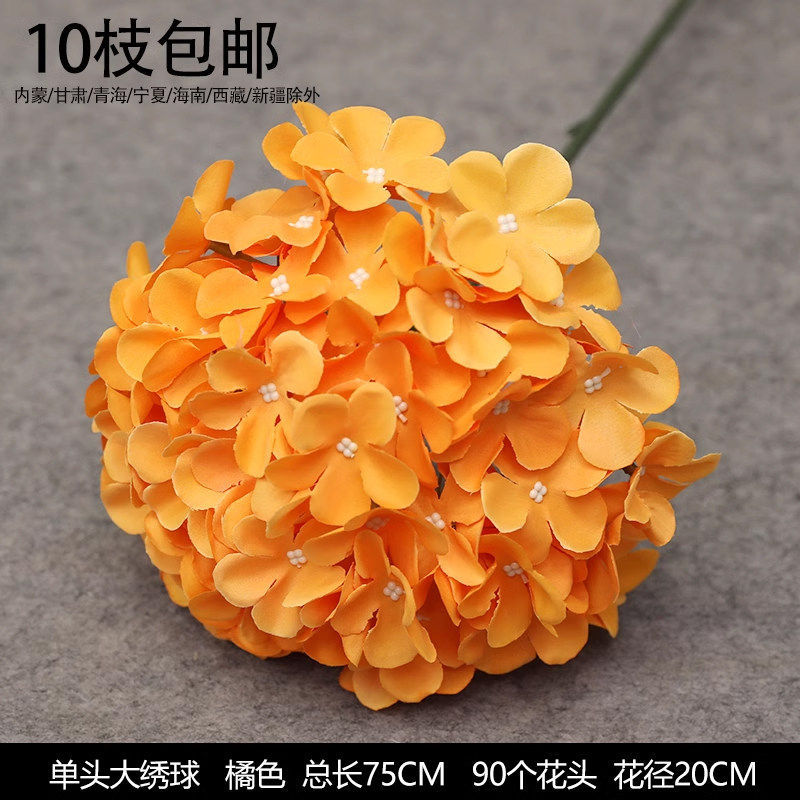 单支大绣球 90片无叶