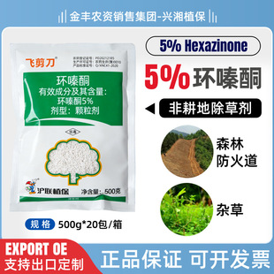 �w�����h�ͪ5%�w�������l���݄��Ǹ��س��s��500�˴����l�r