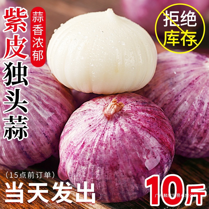 云南紫皮独头蒜2025新蒜5斤大蒜头新鲜农家蒜头干蒜当季蔬菜批发