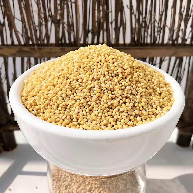厂家批发黄谷子鸟食鸟饲料玄风鹦鹉虎皮牡丹带壳黄谷子小米50斤起