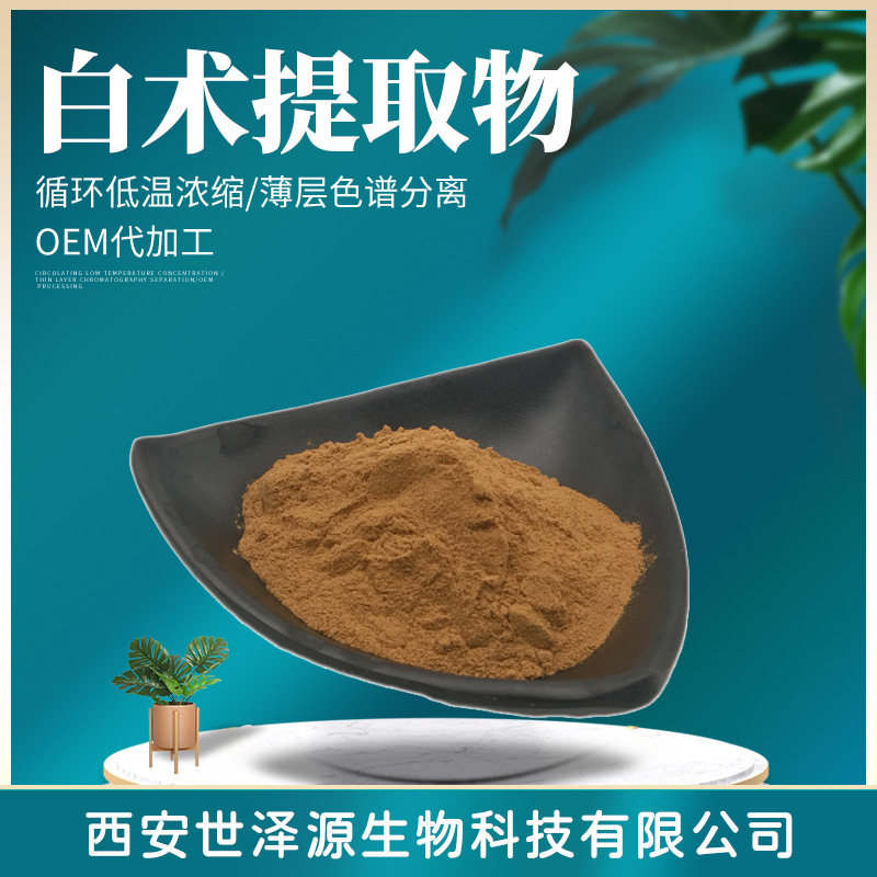 白术提取物10:1 白术根提取物 白术多糖 水溶白术浓缩粉