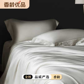 宝M丽本 线下款 夏季160支兰精天丝棉四件套床单被子刺绣LF级细旦