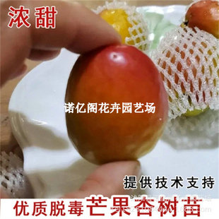 ��Ʒ�N���Ә����ش����â���Ӽt������������ͥԺ���Ԯ���Y����
