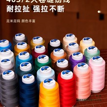 ���ÿp�x��402�������ֿp�·���ƽ܇��]���׾���ɫ�p�x�C��