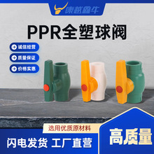 多型号PPR材质铁芯球阀全塑双活接塑料由令厂家供应给水管