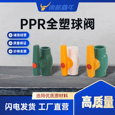 多型号PPR材质铁芯球阀全塑球阀双活接塑料球阀由令球阀厂家供应|ru
