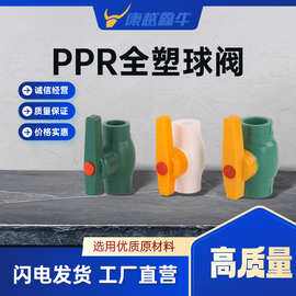 多型号PPR材质铁芯球阀全塑双活接塑料由令厂家供应给水管